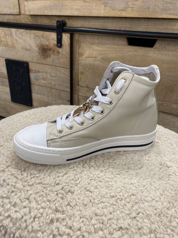 491da46e-d289-471c-9de0-951267aedff8-12167-000001e56261eb0e_file