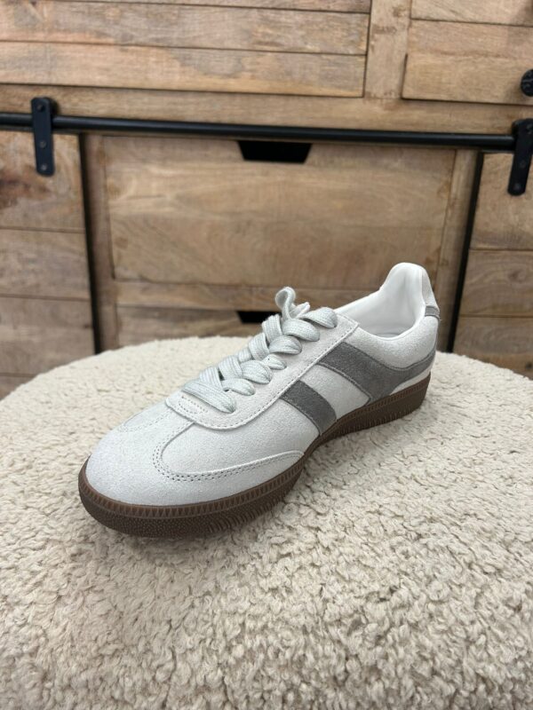 51c8f32f-1bc5-4821-9826-c17f3e4eb2de - copia